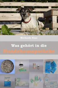 Was gehört in die Hundehausaportheke_cover