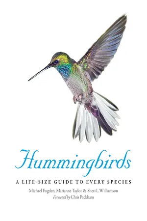 Hummingbirds