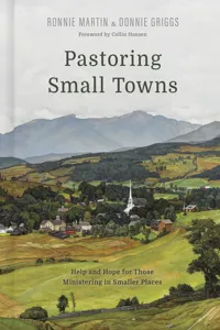 Pastoring Small Towns_cover