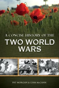 A Concise History of Two World Wars_cover