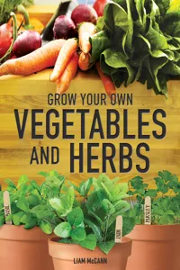 Vegetables and Herbs_cover