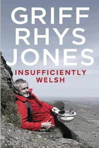 Insufficiently Welsh_cover