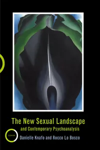 The New Sexual Landscape and Contemporary Psychoanalysis_cover