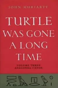 Turtle Was Gone A Long Time Vol.3_cover