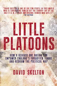 Little Platoons_cover