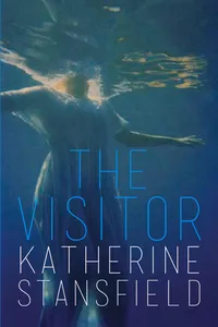 The Visitor_cover