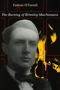 The Burning of Brinsley MacNamara_cover