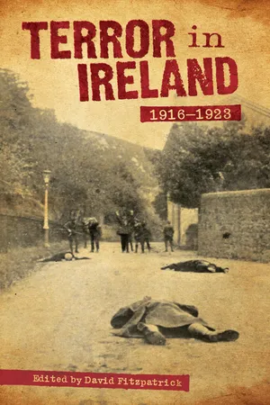 Terror In Ireland