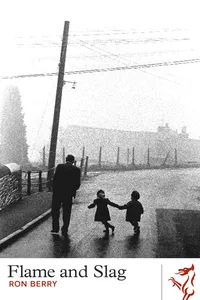 Flame and Slag_cover