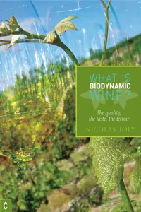 What is Biodynamic Wine?_cover