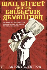 Wall Street and the Bolshevik Revolution_cover