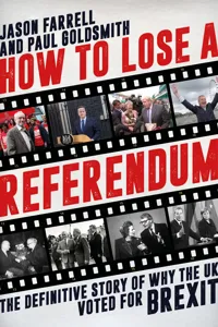 How To Lose A Referendum_cover