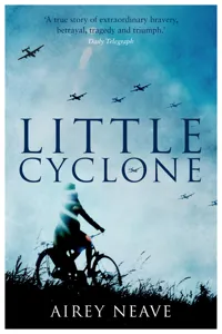 Little Cyclone_cover