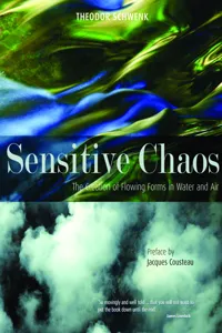 Sensitive Chaos_cover