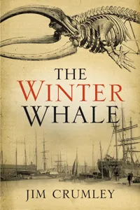 The Winter Whale_cover