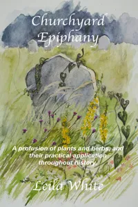 Churchyard Epiphany_cover