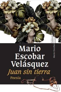 Juan sin tierra_cover