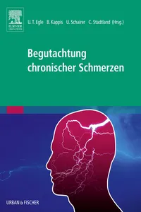 Begutachtung chronischer Schmerzen_cover