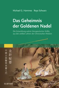 Das Geheimnis der Goldenen Nadel_cover