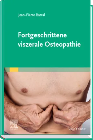 Fortgeschrittene viszerale Osteopathie