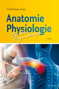 Anatomie Physiologie für die Physiotherapie_cover