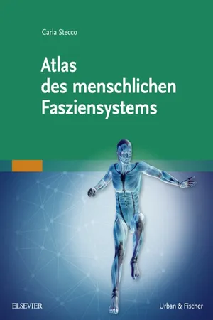 Atlas des menschlichen Fasziensystems