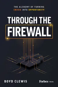 Through the Firewall_cover
