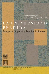 La universidad perdida. Educación superior y pueblos indígenas_cover