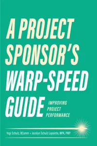 A Project Sponsor's Warp-Speed Guide_cover