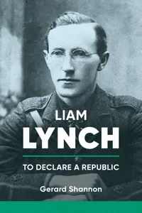 Liam Lynch_cover