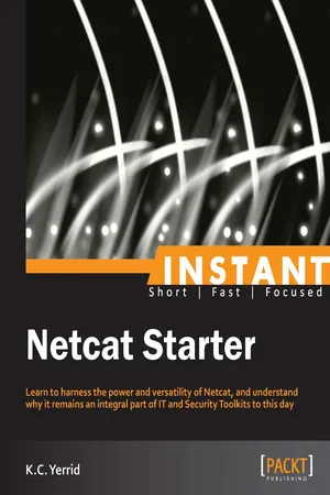 Instant Netcat Starter