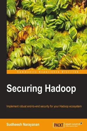 Securing Hadoop