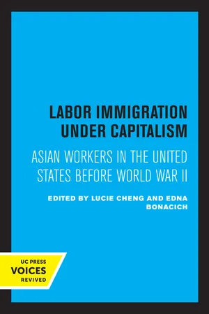 Book cover image for: Labor Immigration under Capitalism