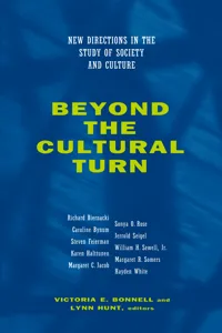 Beyond the Cultural Turn_cover