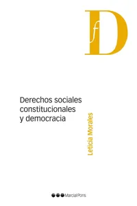 Derechos sociales, constitucionales y democracia_cover