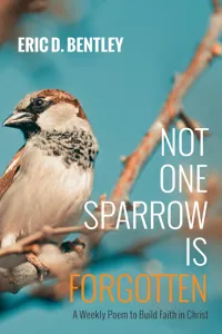 Not One Sparrow Is Forgotten_cover