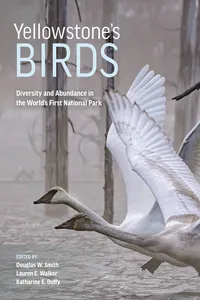 Yellowstone's Birds_cover