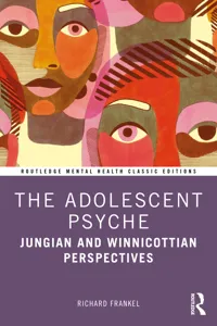 The Adolescent Psyche_cover