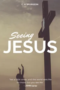 Seeing Jesus_cover