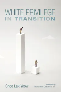 White Privilege in Transition_cover