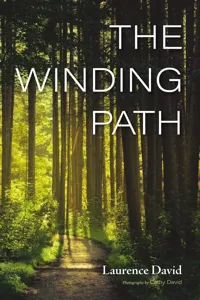 The Winding Path_cover
