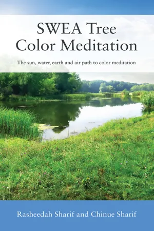 SWEA Tree Color Meditation