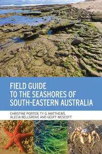 Field Guide to the Seashores of South-Eastern Australia_cover