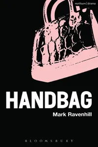 Handbag_cover