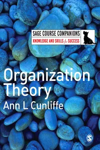 Organization Theory_cover