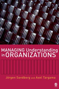 Managing Understanding in Organizations_cover