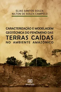 Caracterização e modelagem geotécnica do fenômeno das terras caídas no ambiente Amazônico_cover