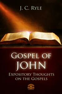 Bible Commentary - The Gospel of John_cover