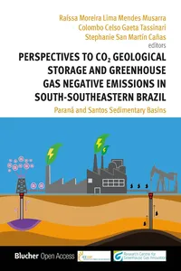 Perspectives to CO2 Geological Storage and Greenhouse Gas Negative Emissions in South-Southeastern Brazil_cover