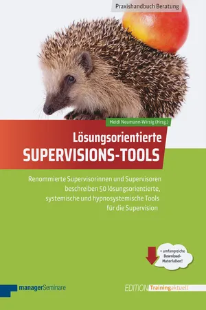 Lösungsorientierte Supervisions-Tools